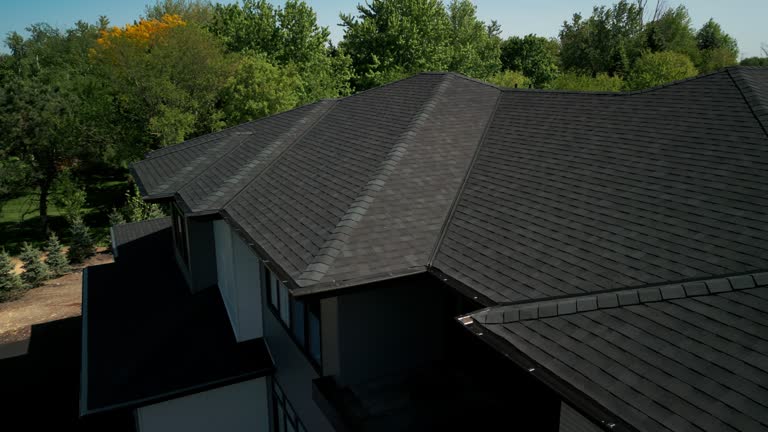 Professional Roofing in Los Angeles, CA